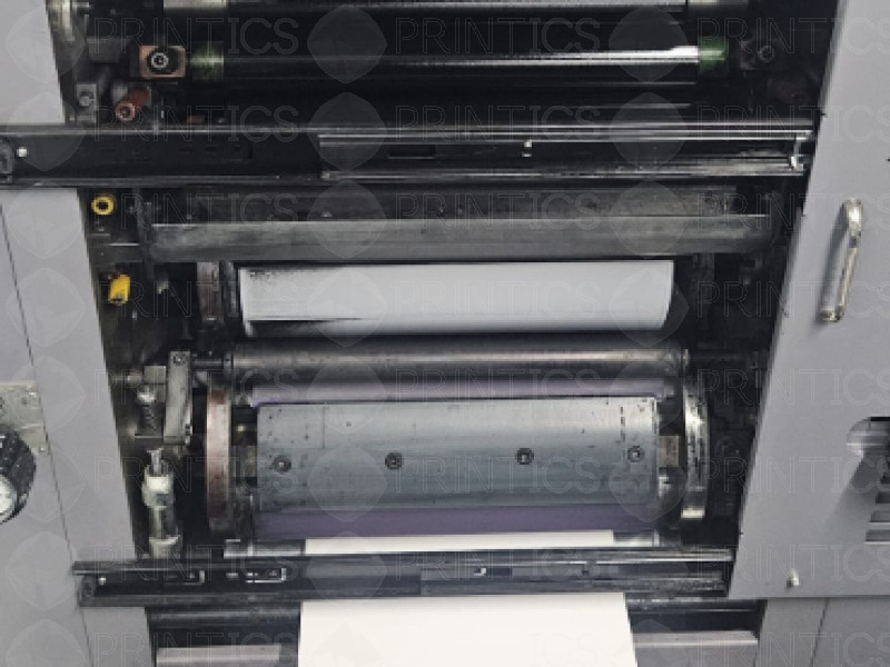 Picture of U49650726