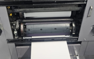 Picture of U49650726