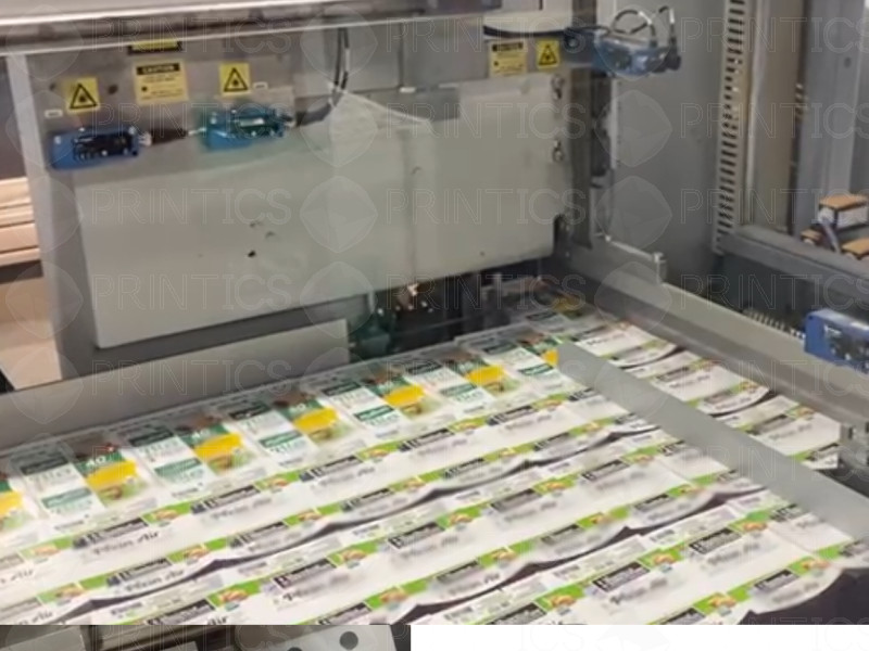 Picture of U48441225