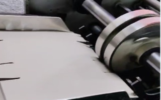 Picture of U47991025